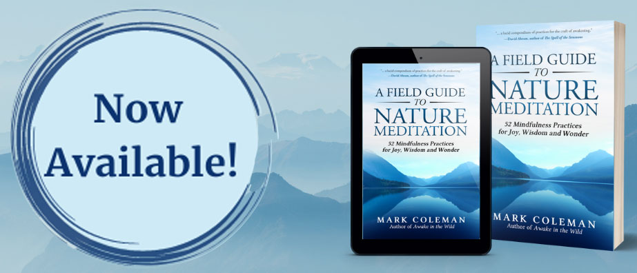 A Field Guide to Nature Meditation Now Available