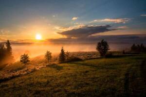 Photo by Dawid Zawila