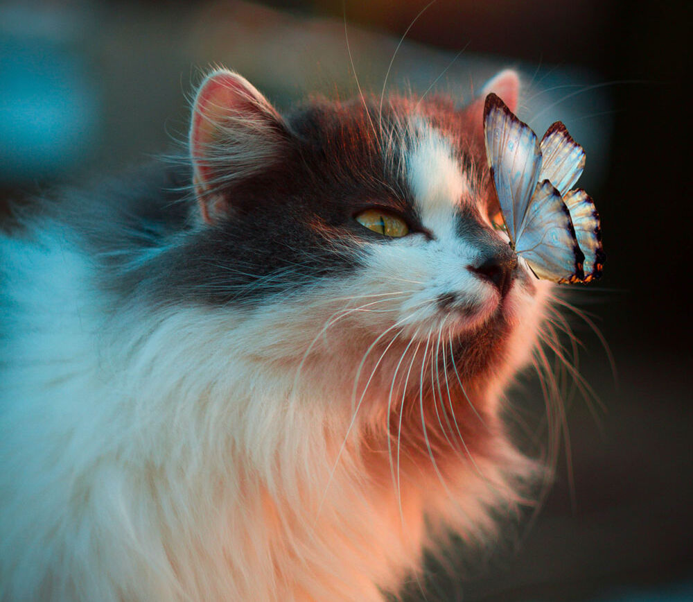 Photo by Karina Vorozheeva