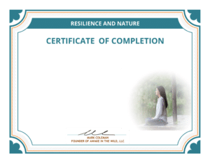 Certificate of Completion