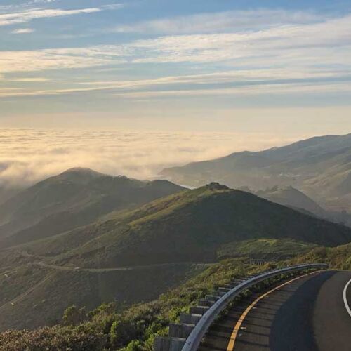 Marin Photo by Mark Coleman |