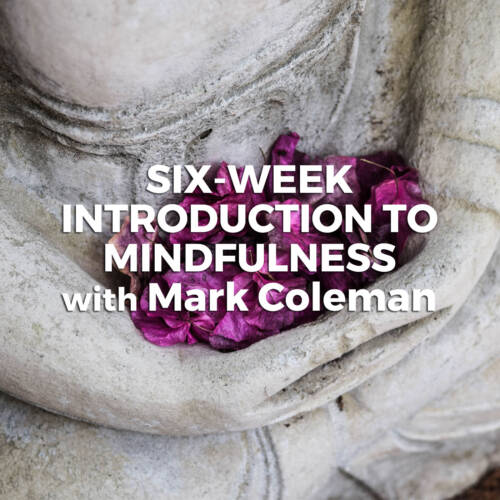 Six-Week Introduction to Mindfulness