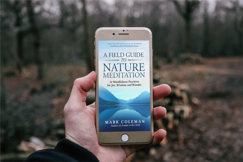 A Field Guide to Nature Meditation by Mark Coleman