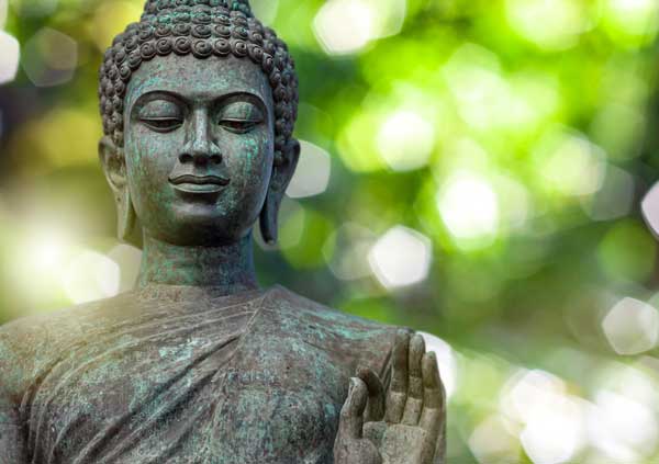 Holding Ground: Inner Resilience for Environmental Changemakers